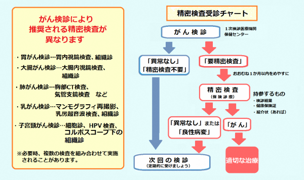 精密検査受診チャート