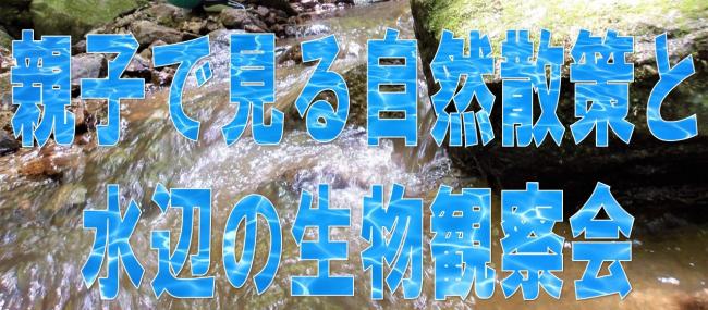タイトル