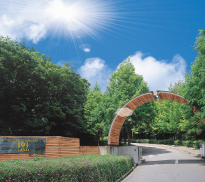 アイアイランド