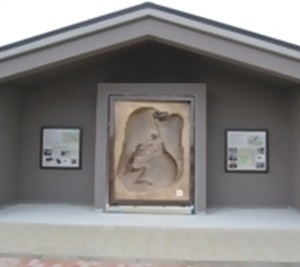 馬の全身骨格２