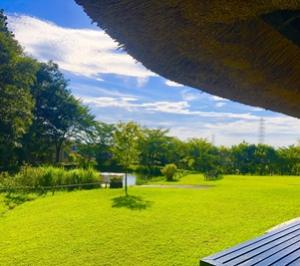 さとやまからの風景