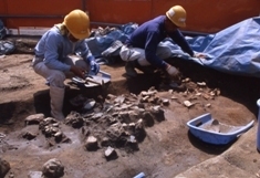 中野遺跡発掘の様子、写真