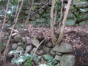 飯盛山城跡の石垣写真