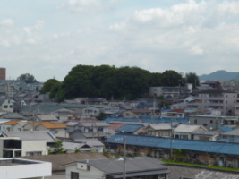 平成25年の忍岡古墳遠景写真