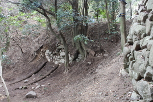 飯盛城石垣の配置を示す写真