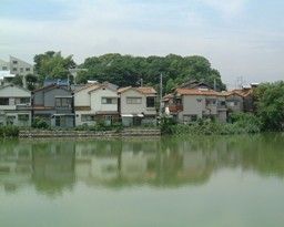 忍岡古墳の遠望・写真