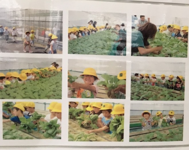 3rdSHOCK! 子どもたちが収穫した野菜が給食に！の画像