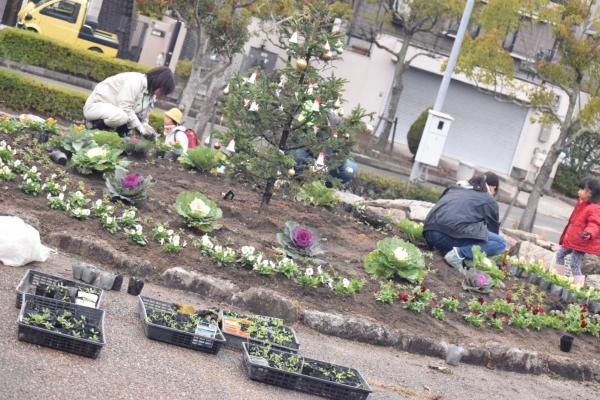 花植えの画像１