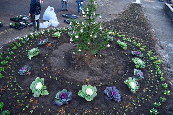 完了した花壇の植え込みの画像