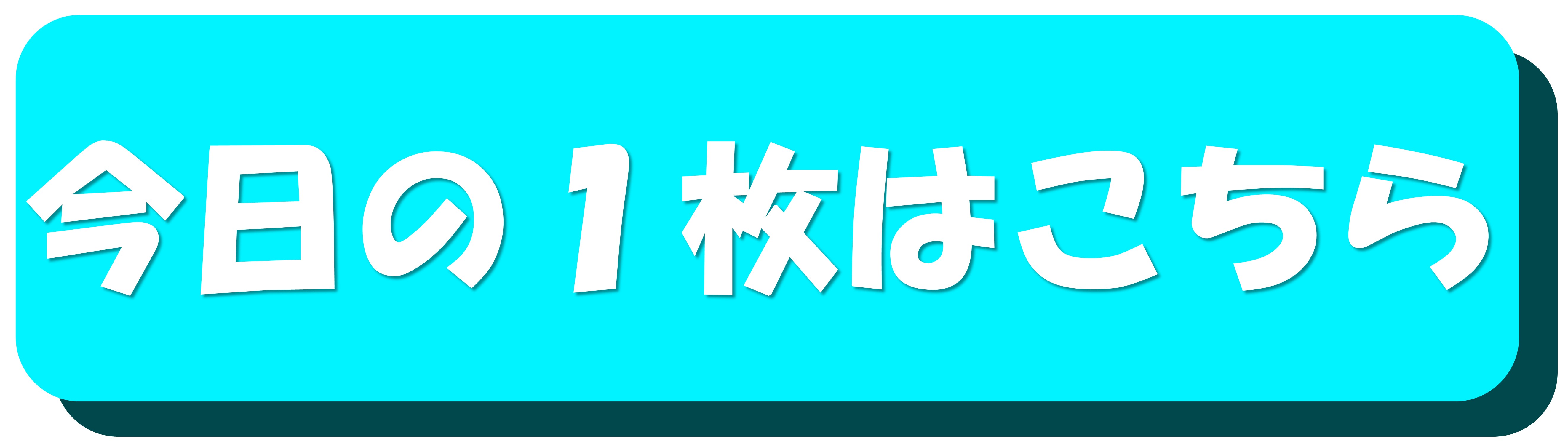 今日の1枚