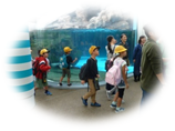 水族館の見学