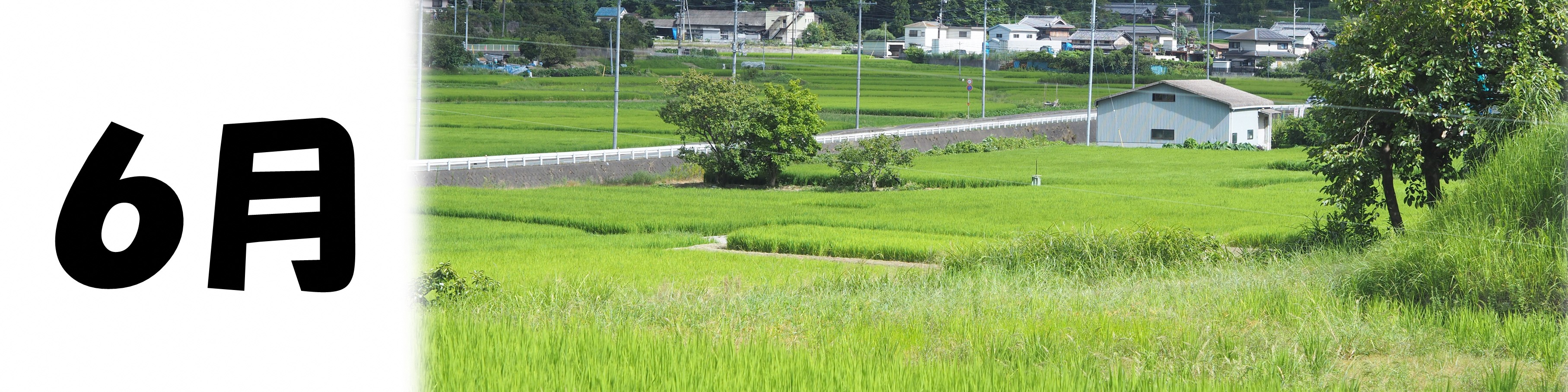 6月バナー画像